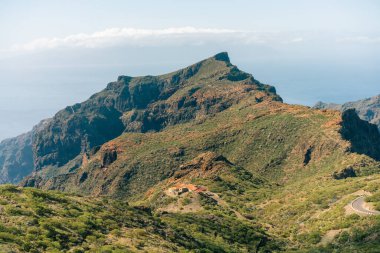 Güzel zamanlarda Masca Vadisi ve Pictoresque Masca Köyü 'nün yakınındaki keçi. Tenerife köyü. Yüksek kalite fotoğraf