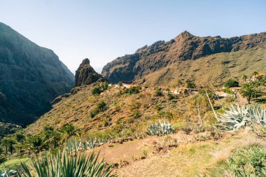 Masca, Tenerife Island, Spain - nov 1 2025 The steep hillside walkway to the village of Masca. High quality photo