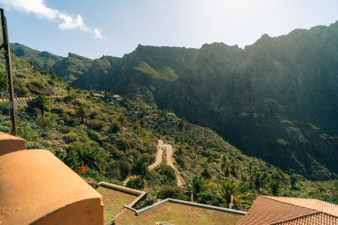 Güzel zamanlarda Masca Vadisi ve Pictoresque Masca Köyü 'nün yakınındaki keçi. Tenerife köyü. Yüksek kalite fotoğraf