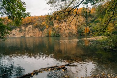 Dornhekkensee, Siebengebirge, Kuzey Ren-Vestfalya, Almanya. Yüksek kalite fotoğraf