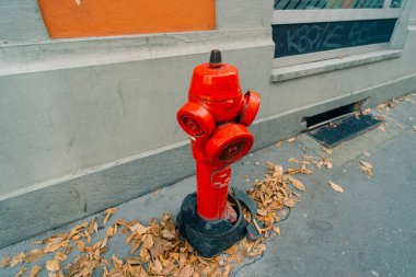 Strasburg, Fransa 'da kırmızı yangın musluğu. 1 Ekim 2025. Yüksek kalite fotoğraf