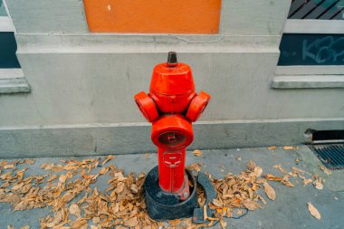 Strasburg, Fransa 'da kırmızı yangın musluğu. 1 Ekim 2025. Yüksek kalite fotoğraf