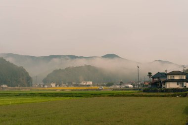 Kiraz çiçekleri sırasında Japonya 'da pirinç tarlaları olan kırsal alan. Yüksek kalite fotoğraf