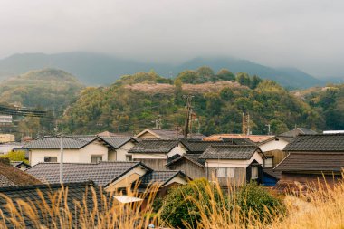 Kiraz çiçekleri sırasında Japonya 'da pirinç tarlaları olan kırsal alan. Yüksek kalite fotoğraf