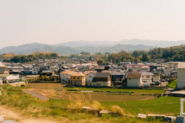 Kiraz çiçekleri sırasında Japonya 'da pirinç tarlaları olan kırsal alan. Yüksek kalite fotoğraf