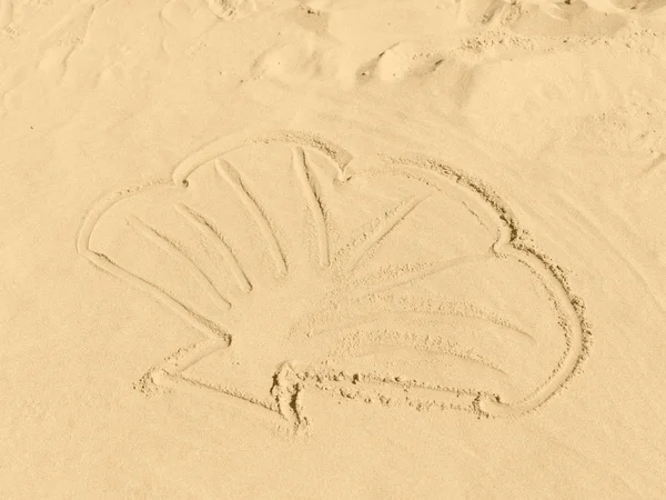 Eine Muschel am Strand in Sand Gemalt — Stok fotoğraf