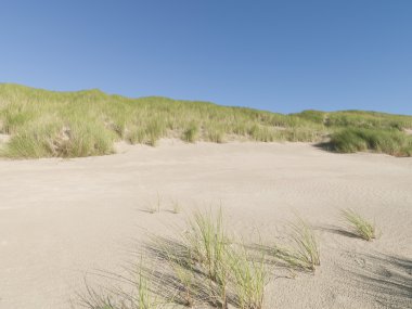Blick kalıp Duenen im Sommer
