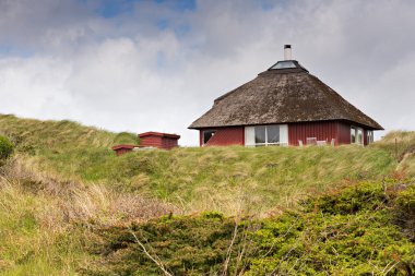 Kumul mavi gökyüzü ve yeşil çim ile geleneksel Danimarka evde