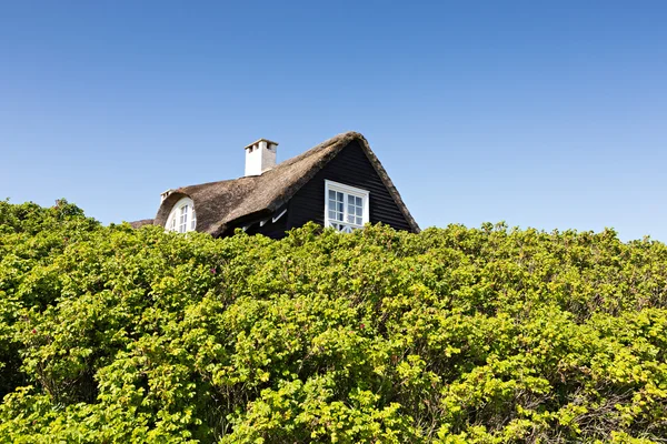 Casa tradițională daneză în duna de nisip cu cer albastru și iarbă verde — Fotografie, imagine de stoc