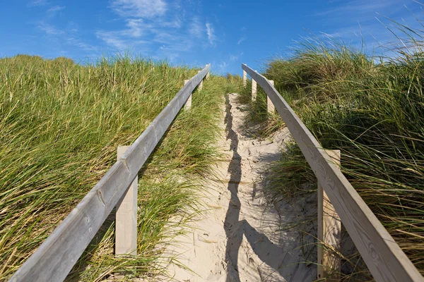 Weg zum Strand — Stockfoto