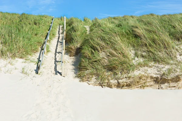 Schody na plaży — Zdjęcie stockowe