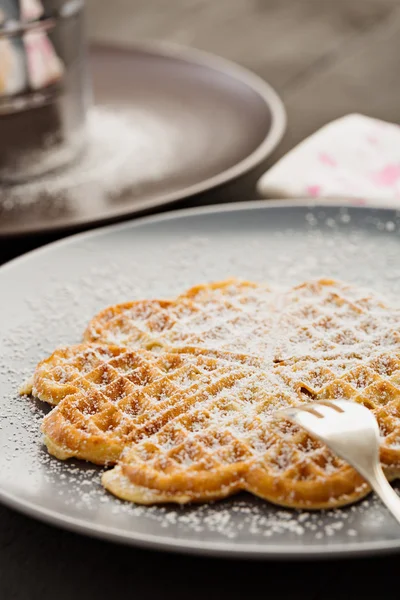 Waffle quente com açúcar em pó — Fotografia de Stock