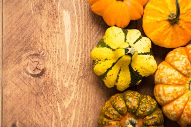 Ahşap arka plan - Cadılar Bayramı, Şükran üzerinde renkli kabaklar