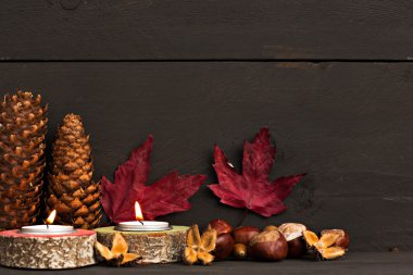 Mumlar ve bitki örtüsü ile sonbahar dekorasyon