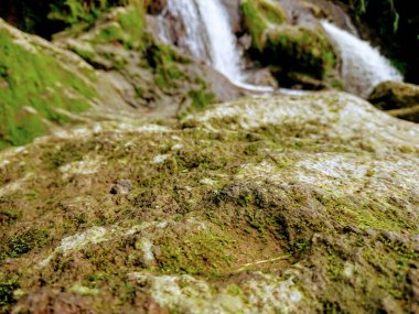 Yeşil doğadaki şelalenin fotoğrafı