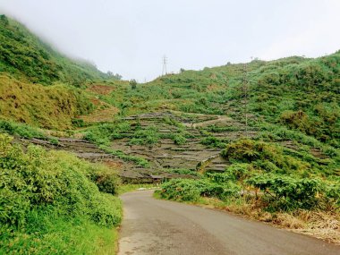 Yeşil dağlardaki yol manzarasının fotoğrafı