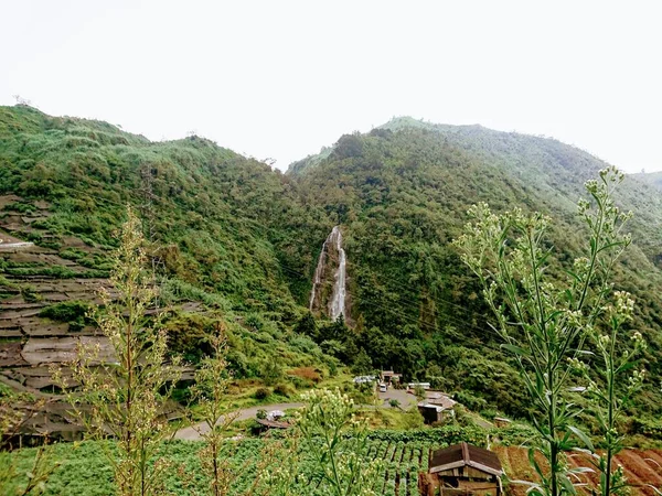 Foto Von Wasserfall Grüner Natur — Stockfoto