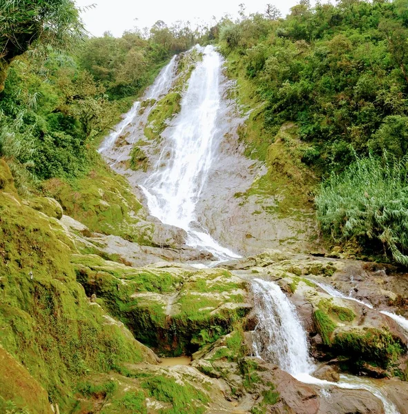 Foto Cachoeira Natureza Verde — Fotografia de Stock