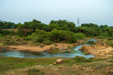 Nehir, okyanusa, denize, göle ya da başka bir nehre doğru akan, genellikle tatlı sudur. Bazı durumlarda bir nehir toprağa akar ve akışının sonunda başka bir su kütlesine ulaşamadan kurur..