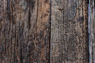 Güzel eski çürüyen ahşap zemin.