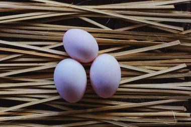 Ördek yumurtaları güzel bir şekilde ahşap zeminde oturur..