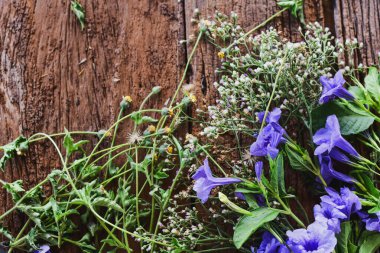 Kuru ahşap zeminde çimenler güzel bir şekilde çiçek açıyordu..