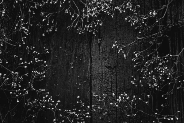 Beautiful Black White Wood Floor — Stock Photo, Image