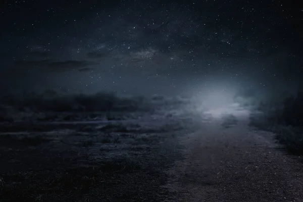 Çakıl yolu, yıldızlı bir gecede pirinç tarlalarından geçer..