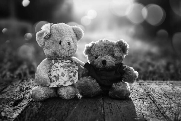 Couple teddy bears are cute on the wooden floor in the grass in the morning.