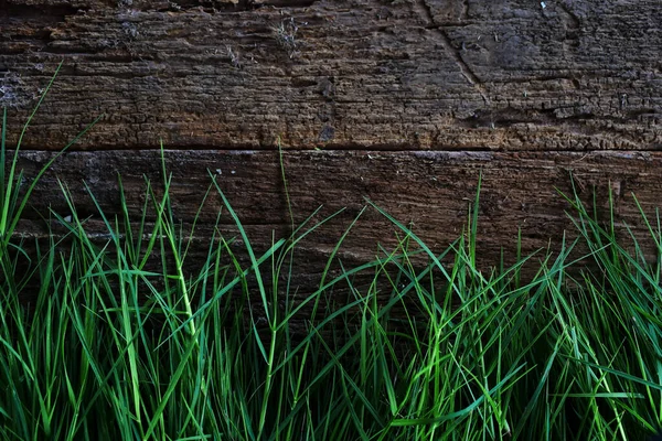 草が美しい木の床に配置されています — ストック写真
