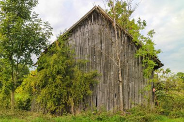 Eski ahşap ile kırmızı çatı bar 