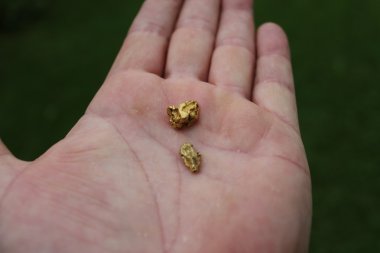 Altın Nuggets, adam altın Nuggets bulmak