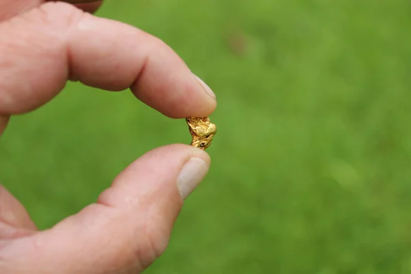 Gold Nuggets, echtes Gold Stock Picture