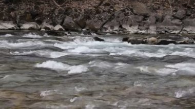 Avusturya Alplerinde Nehri