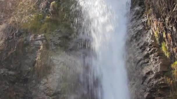 Водопад в Альпах у Австрии летом . — стоковое видео
