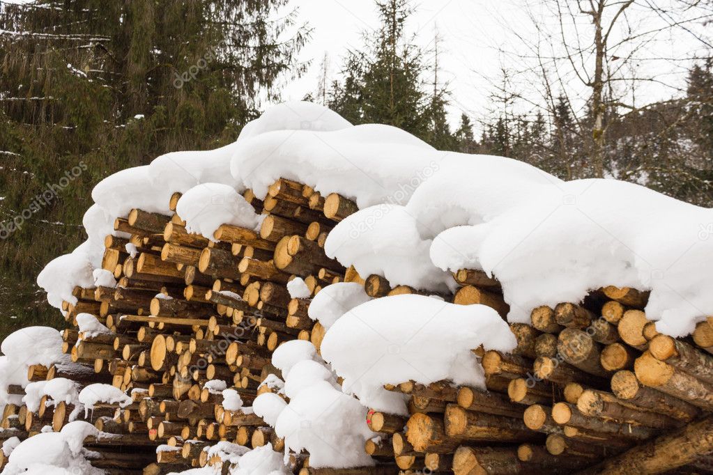Stacked wood covered with snow, alps Austria in Salzburg