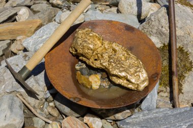 Gold Nugget mining from the River clipart