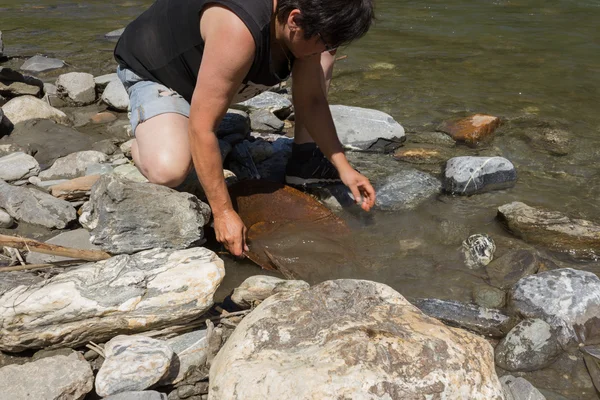 Minería de pepitas de oro del río — Foto de Stock