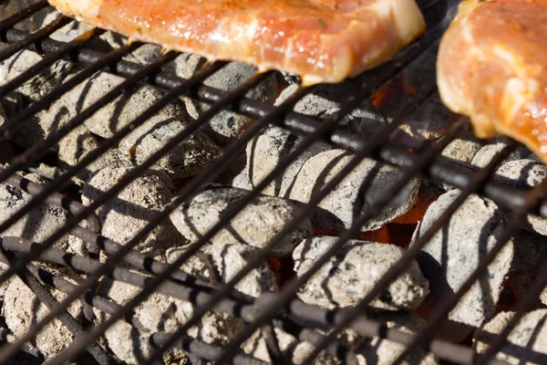 Churrasco Grill Steaks, Carne grelhada — Fotografia de Stock