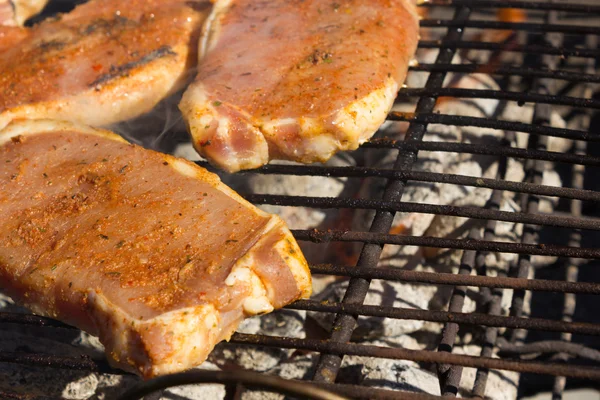 Barbecue Grill Steaks, Grilled meat — Stock Photo, Image