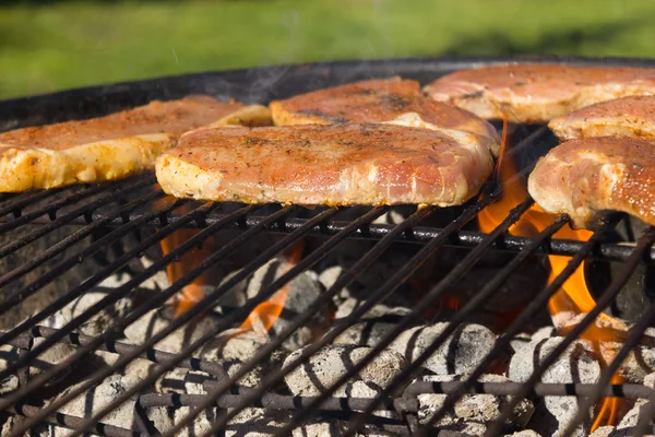 Churrasco Grill Steaks, Carne grelhada — Fotografia de Stock