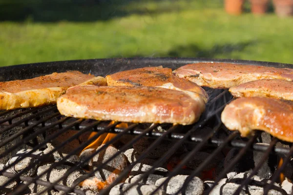 Churrasco Grill Steaks, Carne grelhada — Fotografia de Stock