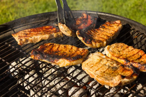 Barbekü Izgara biftek, ızgara et 