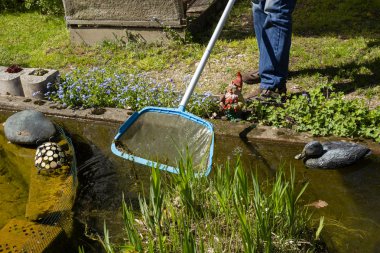 Gartenteich reinigen mit Poolreiniger