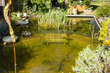 Güzel bahçesi olan tezgah ve küçük su birikintisi rahatlamak için