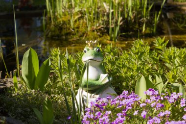 Kurbağa Prens ile altın taç, portre ve su birikintisi arka plan.