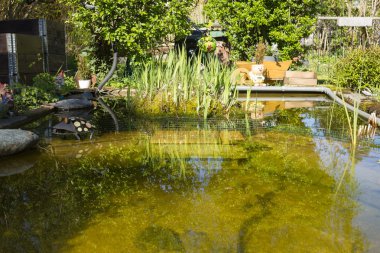 Güzel bahçesi olan tezgah ve küçük su birikintisi rahatlamak için
