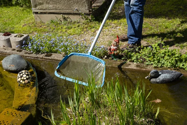 Gartenteich reinigen mit Poolreiniger Royalty Free Εικόνες Αρχείου