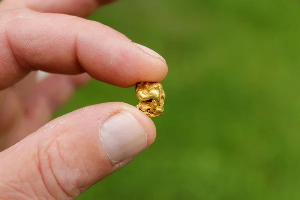 Gouden Goudklompje, goud stuk — Stockfoto