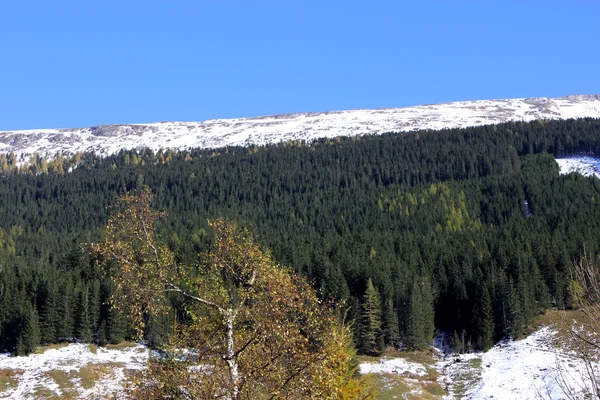 Alpes d'hiver Autriche — Photo